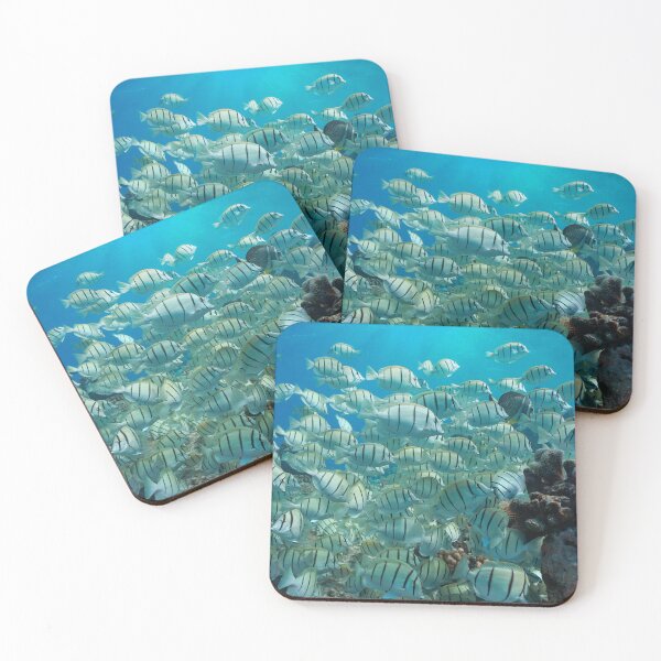 Item preview, School of fish underwater in the ocean convict surgeonfish south Pacific designed and sold by Seaphotoart.