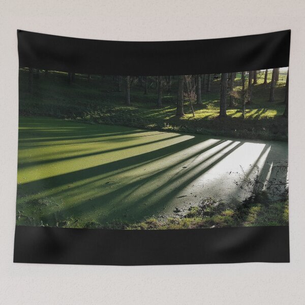 Item preview, Pine forest pond  designed and sold by ChiefOP.