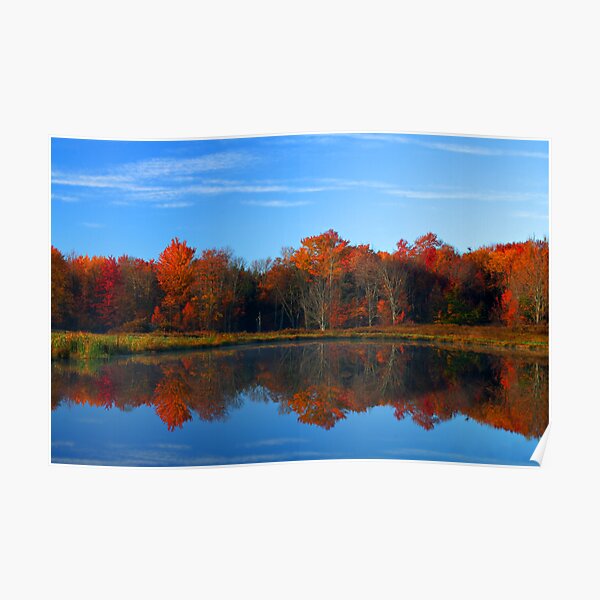 Fall Reflections Poster