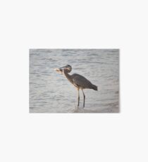 Dinner- Great Blue Heron Art Board