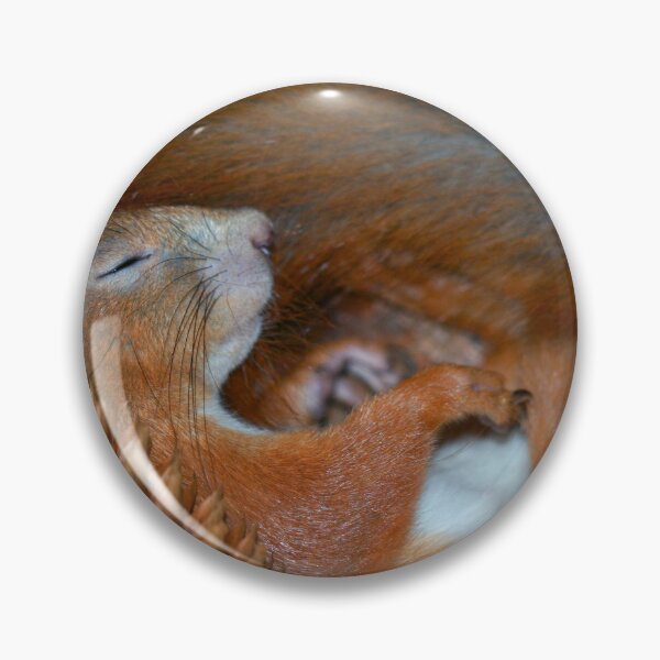 Item preview, Portrait of red sleeping squirrel designed and sold by olena2552.