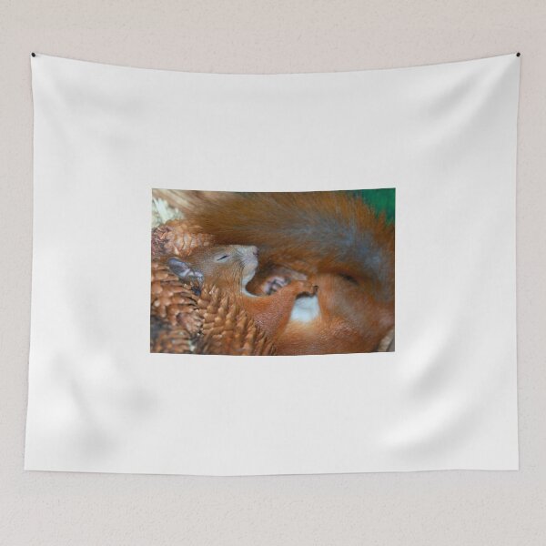Item preview, Portrait of red sleeping squirrel designed and sold by olena2552.