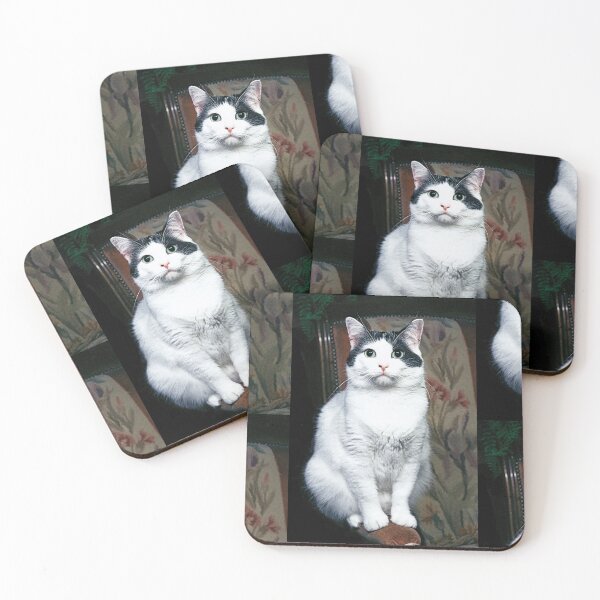 Item preview, r354/ New Finition nov 2022 " The " Pirate " un Chat love - Canon eos 5 28-70 mm f.2.8 avec Studio Portable et 3 Boites à Lumière Okaio by Olavia Olao designed and sold by o.okaïo.