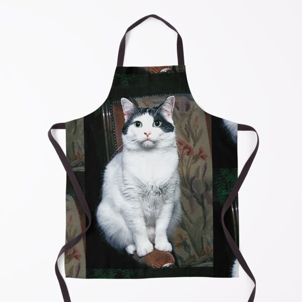 Item preview, r354/ New Finition nov 2022 " The " Pirate " un Chat love - Canon eos 5 28-70 mm f.2.8 avec Studio Portable et 3 Boites à Lumière Okaio by Olavia Olao designed and sold by o.okaïo.