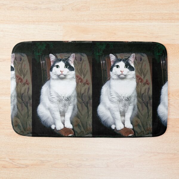Item preview, r354/ New Finition nov 2022 " The " Pirate " un Chat love - Canon eos 5 28-70 mm f.2.8 avec Studio Portable et 3 Boites à Lumière Okaio by Olavia Olao designed and sold by o.okaïo.
