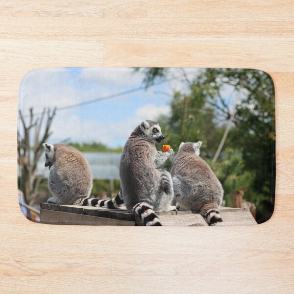 Item preview, Lemurs' lunch designed and sold by GreyFeatherPhot.