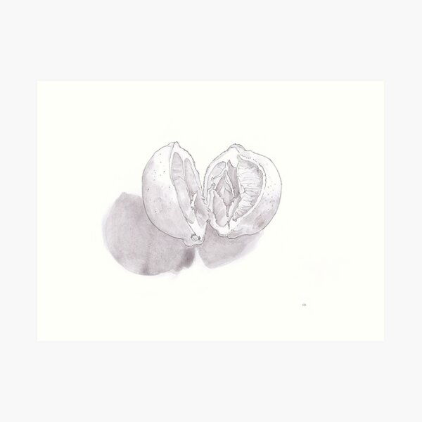 Lemon Art Print