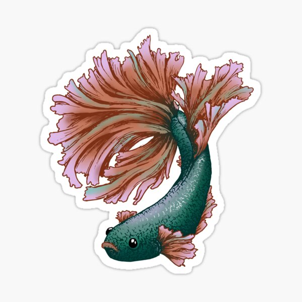 Betta - Colored Sticker