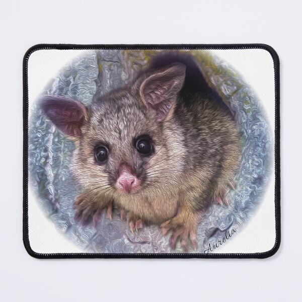 Item preview, Brushtail Possum designed and sold by AchiniK.