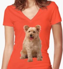 Cute dog Women's Fitted V-Neck T-Shirt