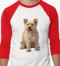 Cute dog Men's Baseball ¾ T-Shirt