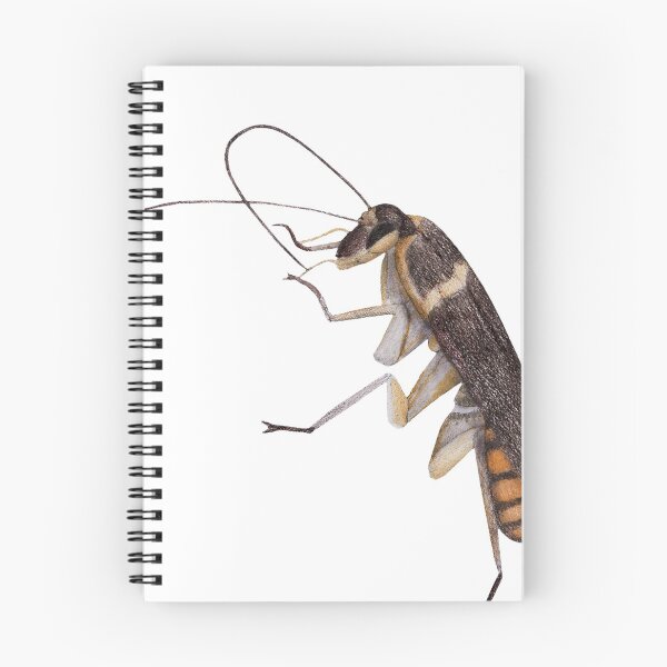 Item preview, Cockroach designed and sold by Linda Ursin.