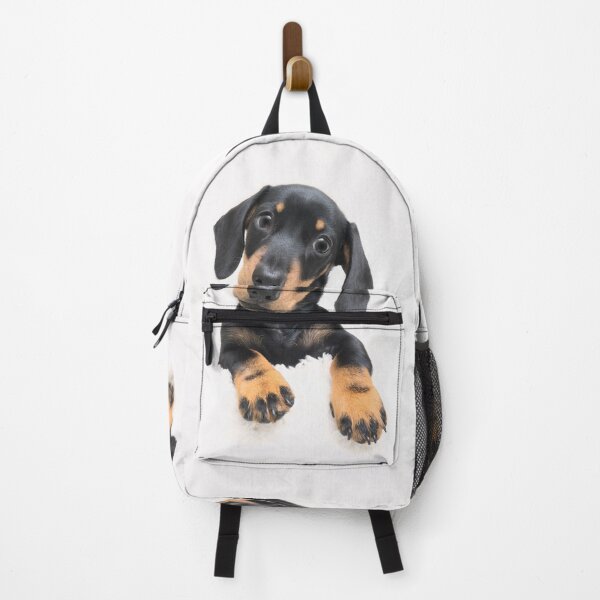 Item preview, Dachshund Posing designed and sold by ernest123.