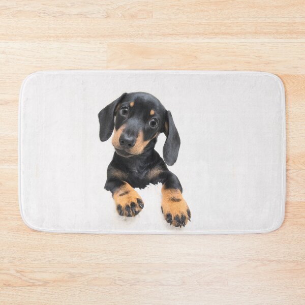 Item preview, Dachshund Posing designed and sold by ernest123.