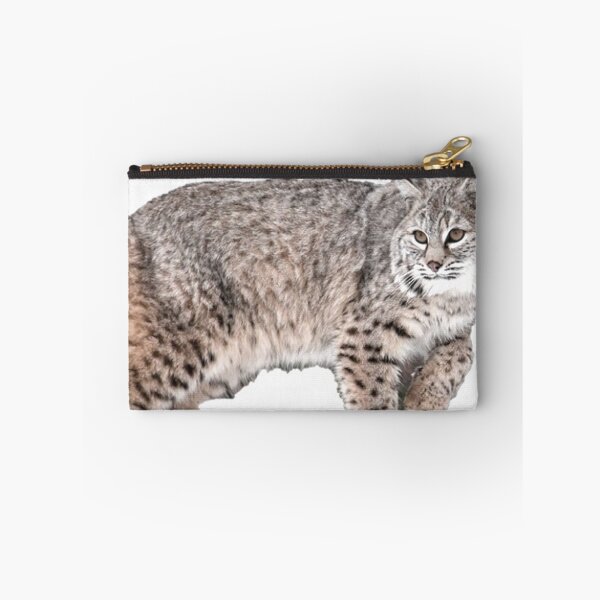 Aperçu de l'œuvre Lynx Rufus connu sous le nom de Bobcat créée et vendue par David-Howells.