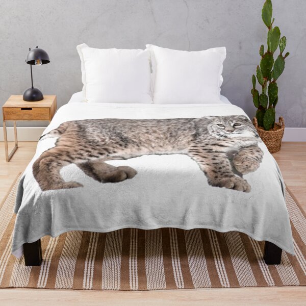Item preview, Lynx Rufus conocido como Bobcat designed and sold by David-Howells.