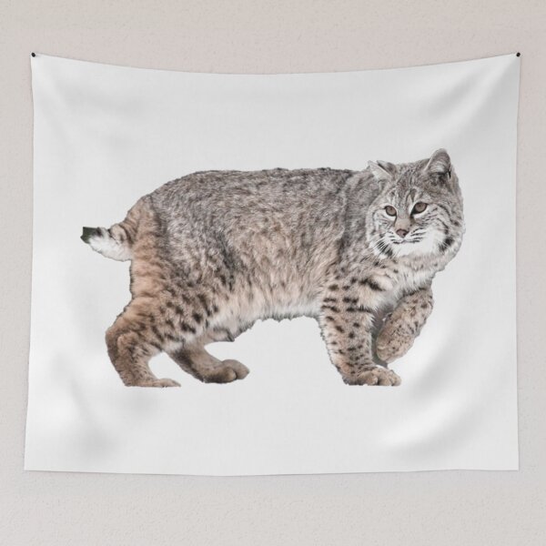 Item preview, Lynx Rufus know as a Bobcat  designed and sold by David-Howells.