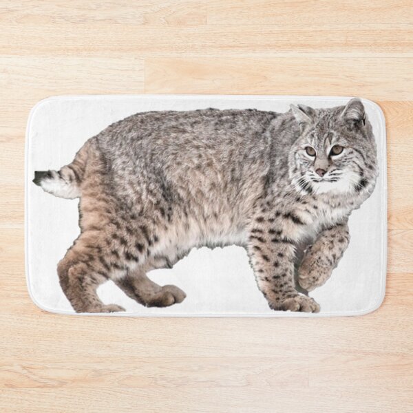 Item preview, Lynx Rufus know as a Bobcat  designed and sold by David-Howells.
