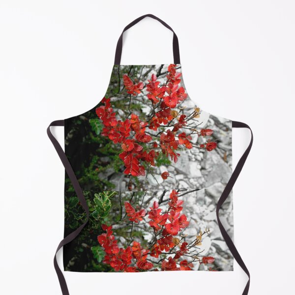 Item preview, Myrtle Beech, Crater Lake, Cradle Mountain, Tasmania, Australia. designed and sold by kaysharp.