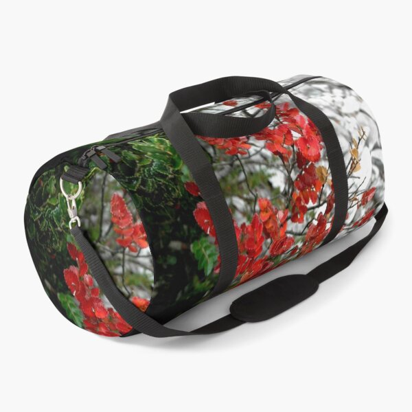 Item preview, Myrtle Beech, Crater Lake, Cradle Mountain, Tasmania, Australia. designed and sold by kaysharp.