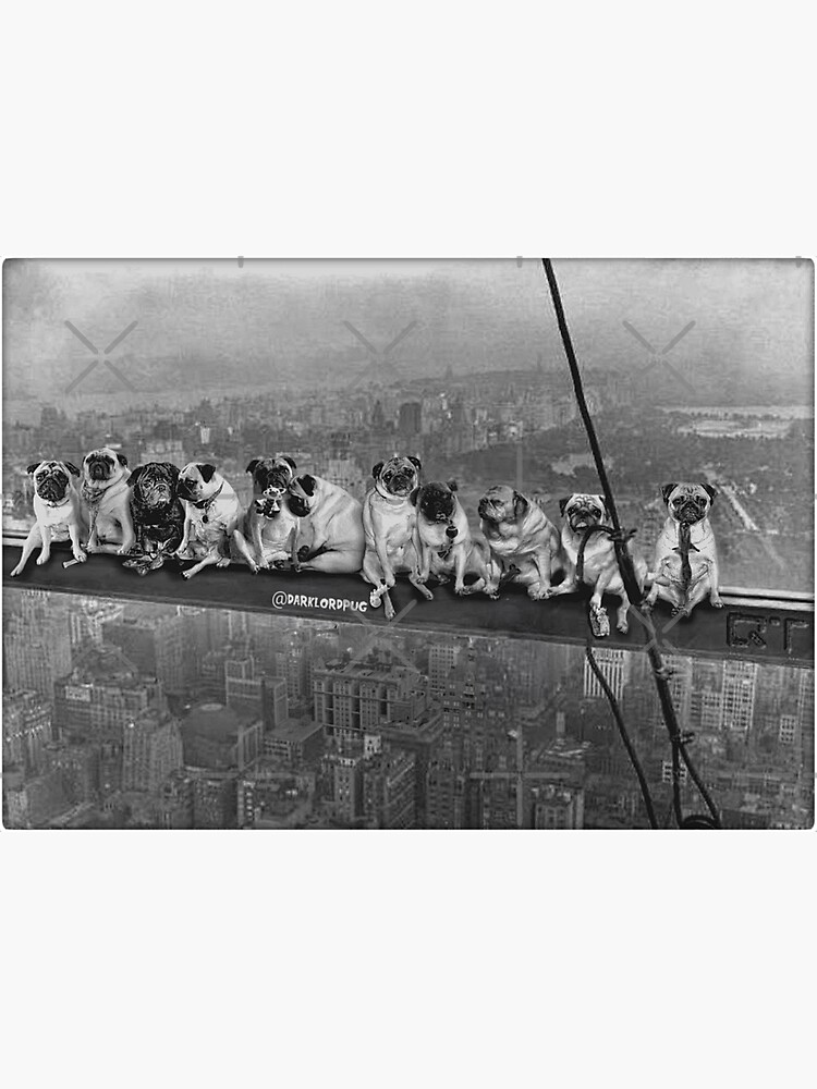 Pugs on a Skyscraper 1932 by darklordpug