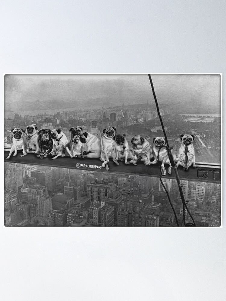 Alternate view of Pugs on a Skyscraper 1932 Poster
