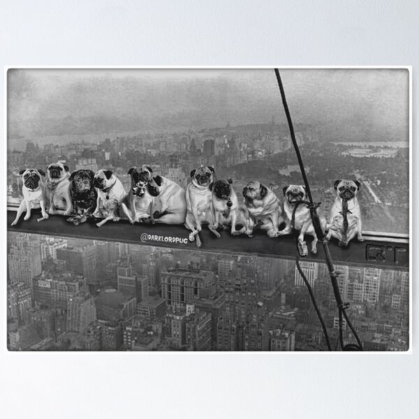 Vista previa del artículo con la obra «Pugs en un rascacielos, 1932», diseñado y vendido por darklordpug.
