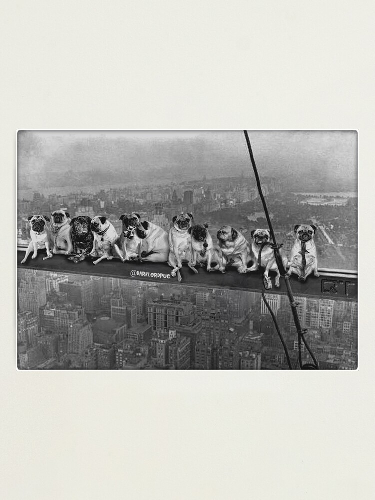 Alternate view of Pugs on a Skyscraper 1932 Photographic Print