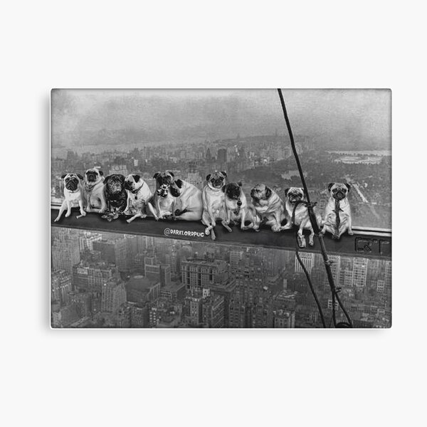 Möpse auf einem Wolkenkratzer 1932 Leinwanddruck