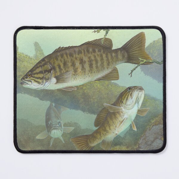 Item preview, Micropterus Dolomieu designed and sold by linggalibrary.