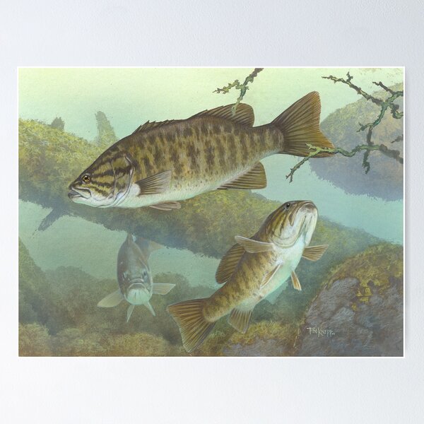 Item preview, Micropterus Dolomieu designed and sold by linggalibrary.