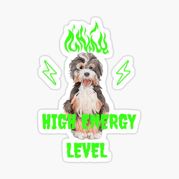 "labradoodle high energy level" Sticker for Sale by SANDEEP24 Redbubble