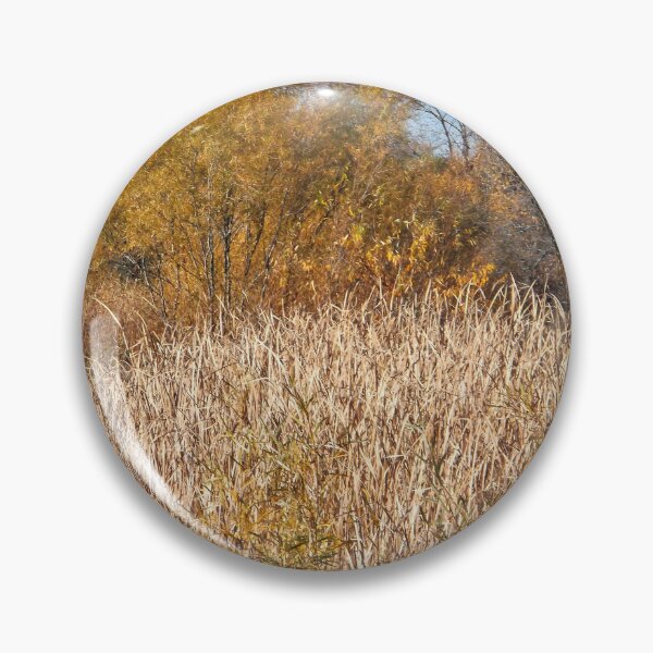 Item preview, A Golden Autumn designed and sold by Scott and Mary Schneider art_photography.