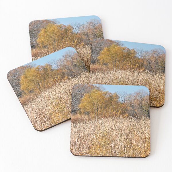 Item preview, A Golden Autumn designed and sold by Scott and Mary Schneider art_photography.