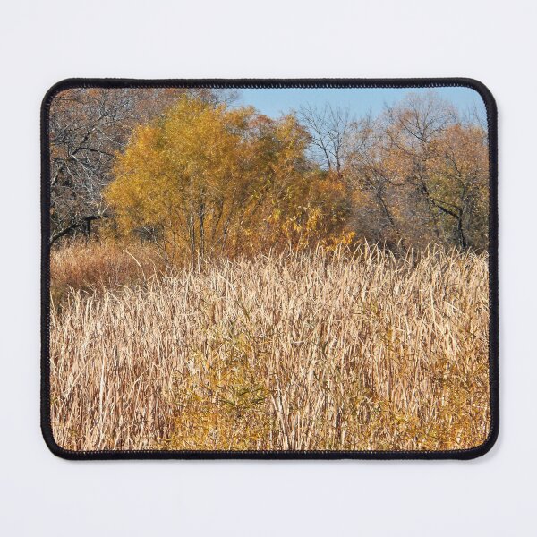 Item preview, A Golden Autumn designed and sold by Scott and Mary Schneider art_photography.