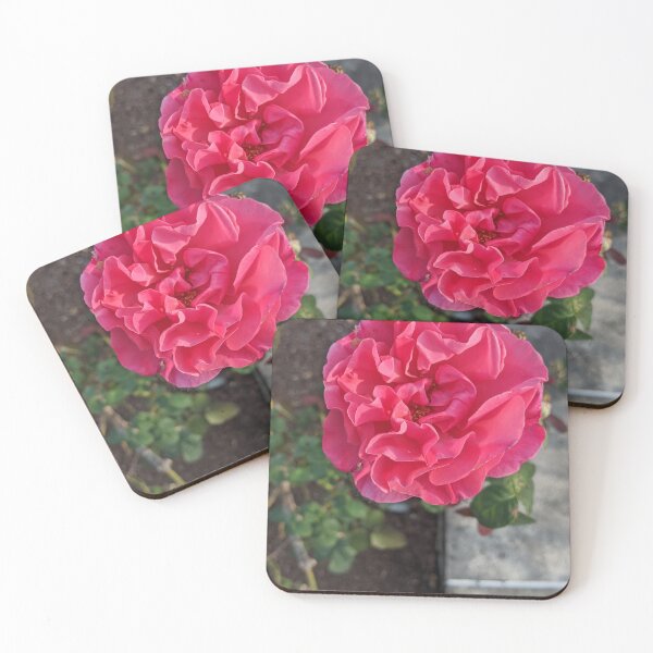 Item preview, Spartan Rose designed and sold by TheRealDanniX.