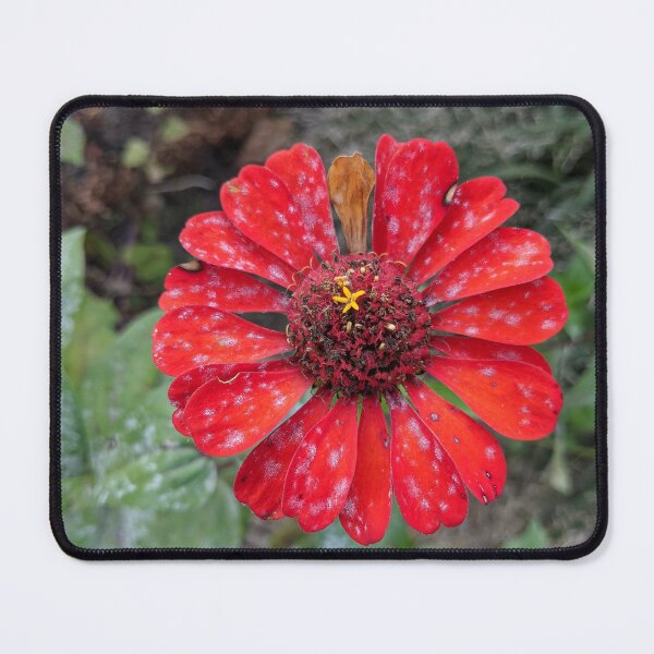 Item preview, Zinnia designed and sold by TheRealDanniX.