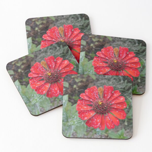Item preview, Zinnia designed and sold by TheRealDanniX.