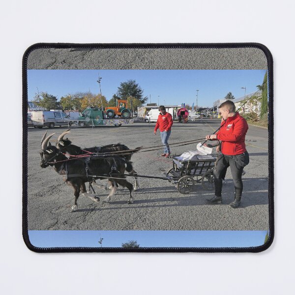 Item preview, r3569 / finition 2022 - 8 - La Ferme s'invite: " Livraison new direct ! " Poitiers 2022 " - Okaio Créations Olavia-Olao designed and sold by o.okaïo.