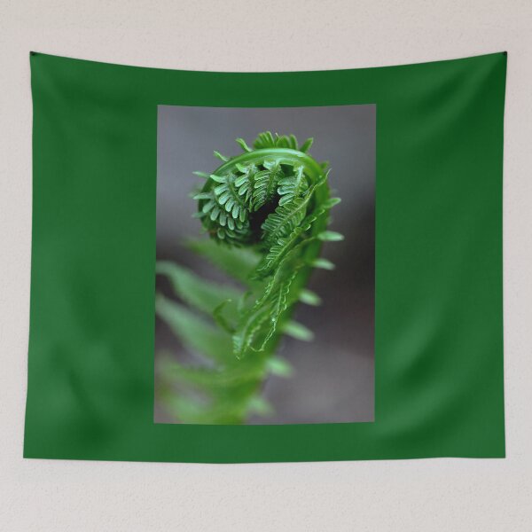 Item preview, Fern Frond designed and sold by Debbie Oppermann.