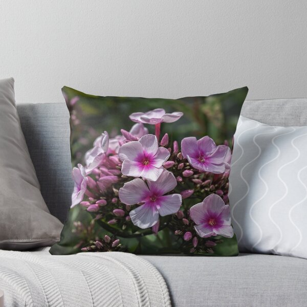 Item preview, Phlox paniculata designed and sold by PhotosByHealy.
