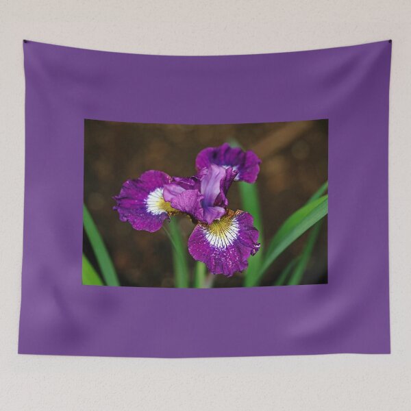Item preview, Contrast In Styles designed and sold by Debbie Oppermann.