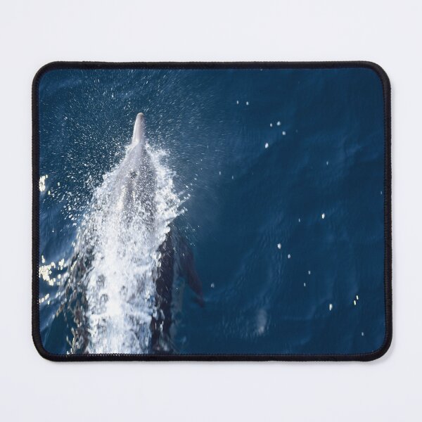 Item preview, A dolphin in the water designed and sold by Designsbyalisa.