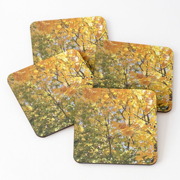 Item preview, Leaves Starting to Change designed and sold by Scott and Mary Schneider art_photography.