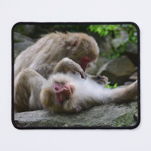 Item preview, Snow monkeys in Japan designed and sold by Designsbyalisa.