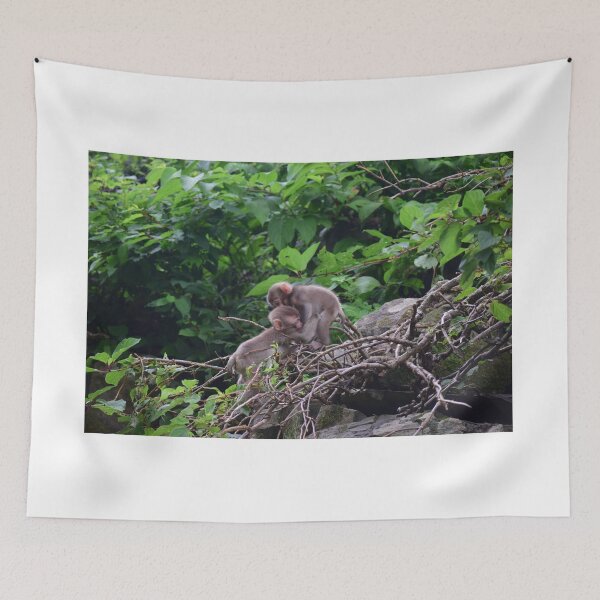 Item preview, Little snow monkeys in Japan playing together designed and sold by Designsbyalisa.