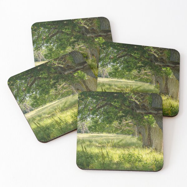 Item preview, Old Oak Trees In Sunlight designed and sold by Nicklas81.