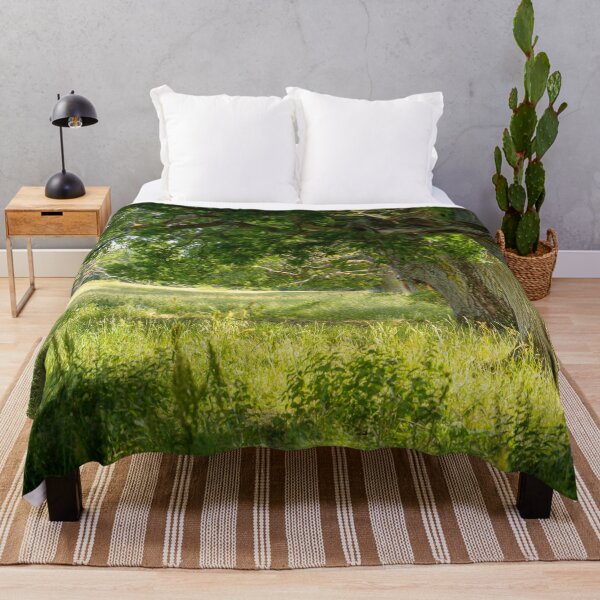 Item preview, Old Oak Trees In Sunlight designed and sold by Nicklas81.