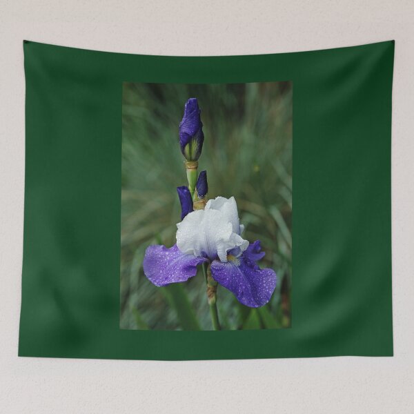 Item preview, Iris Blues designed and sold by Debbie Oppermann.