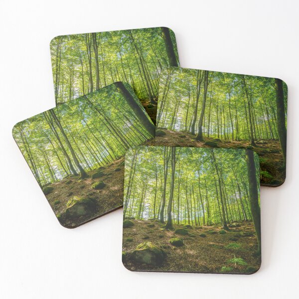 Item preview, Beech Tree Forest In Sunlight designed and sold by Nicklas81.